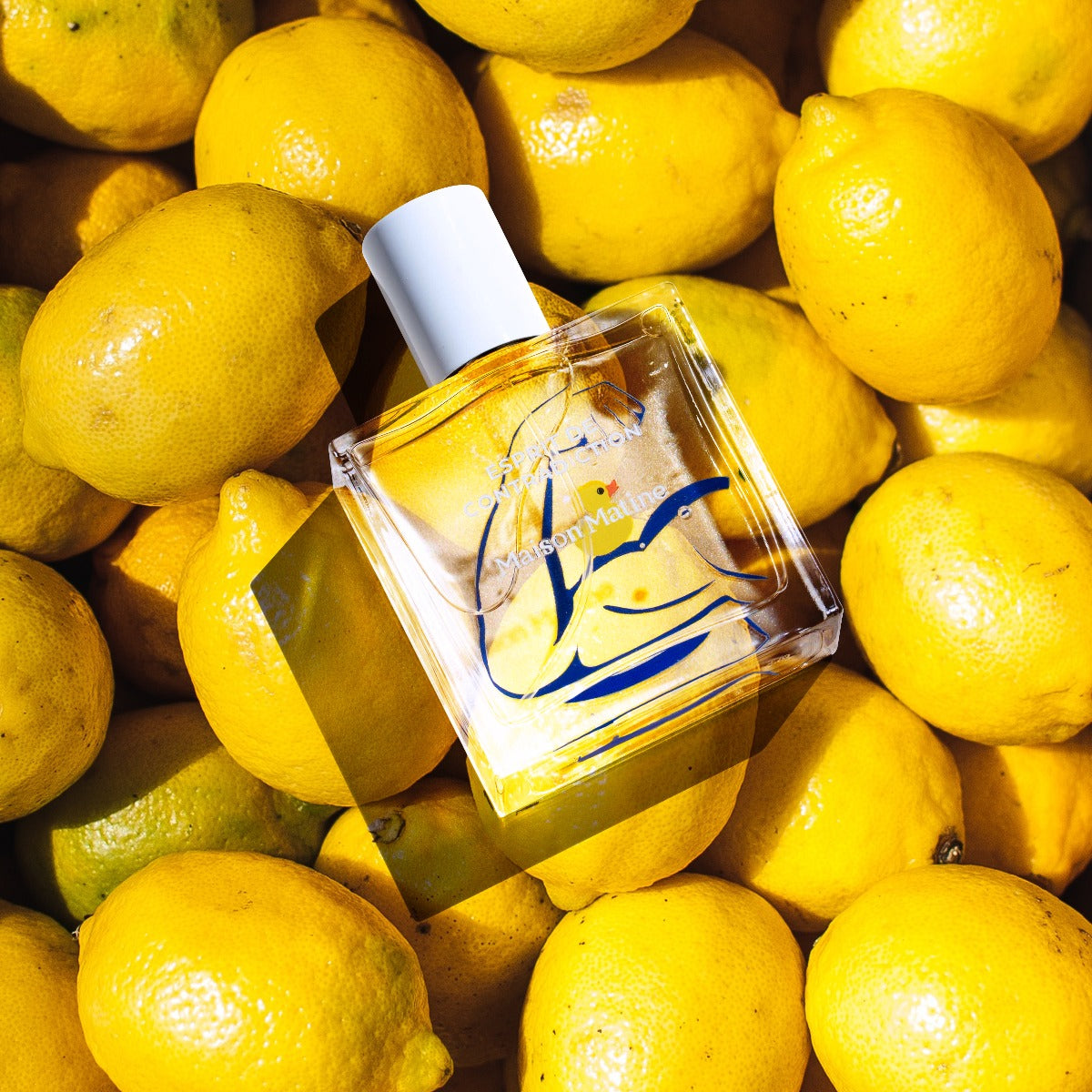 Maison Matine parfume - Esprit de contradiction - Bahne